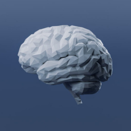 Illustrated cross-section of a human brain highlighting the cerebellum in glowing blue, representing brain-inspired AI computing.