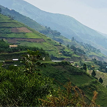 lush, green hillside with some small buildings
