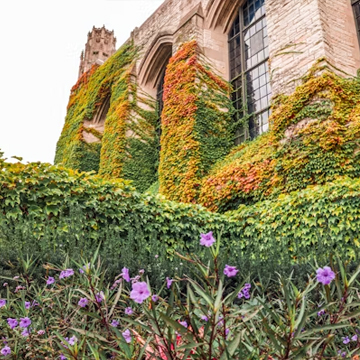 Campus beauty shot