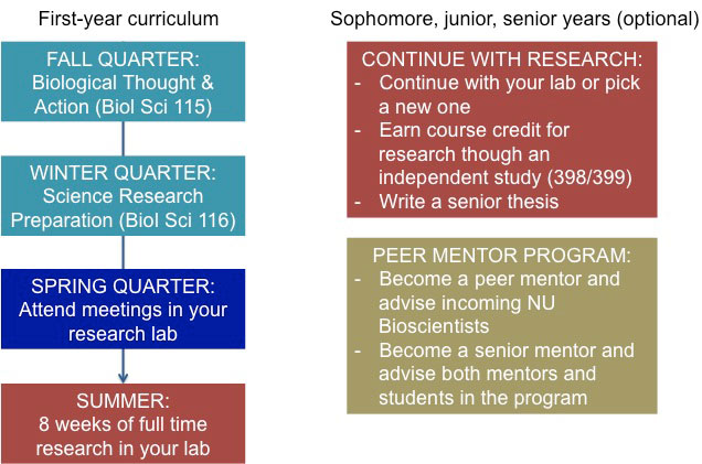 nu bioscientist overview