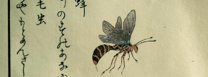 Detail of Kitagawa Utamaro manuscript